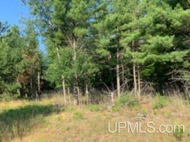 13.75 Rd & M 5 Lane Escanaba, MI 49829 - Photo 11 of 12