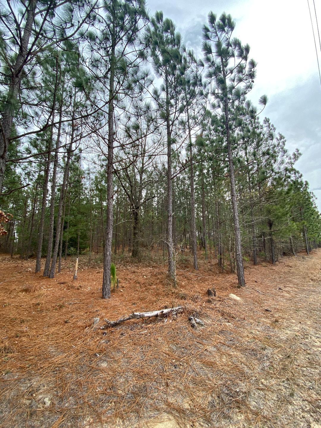 Tbd Hamer Mill Road Rockingham, NC 28379 - Photo 2 of 3 2
