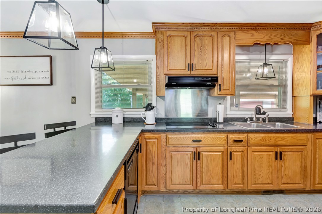 246 Robin Road Lumberton, NC 28358 - Photo 11 of 32 Gallery Image 11