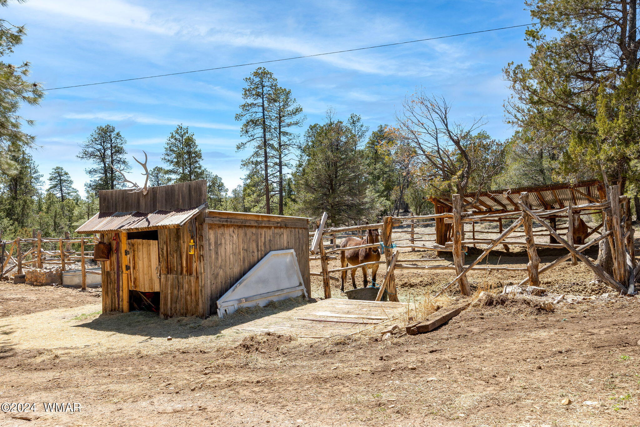 1893 Chevelon Road Heber, AZ 85928 - Photo 33 of 46