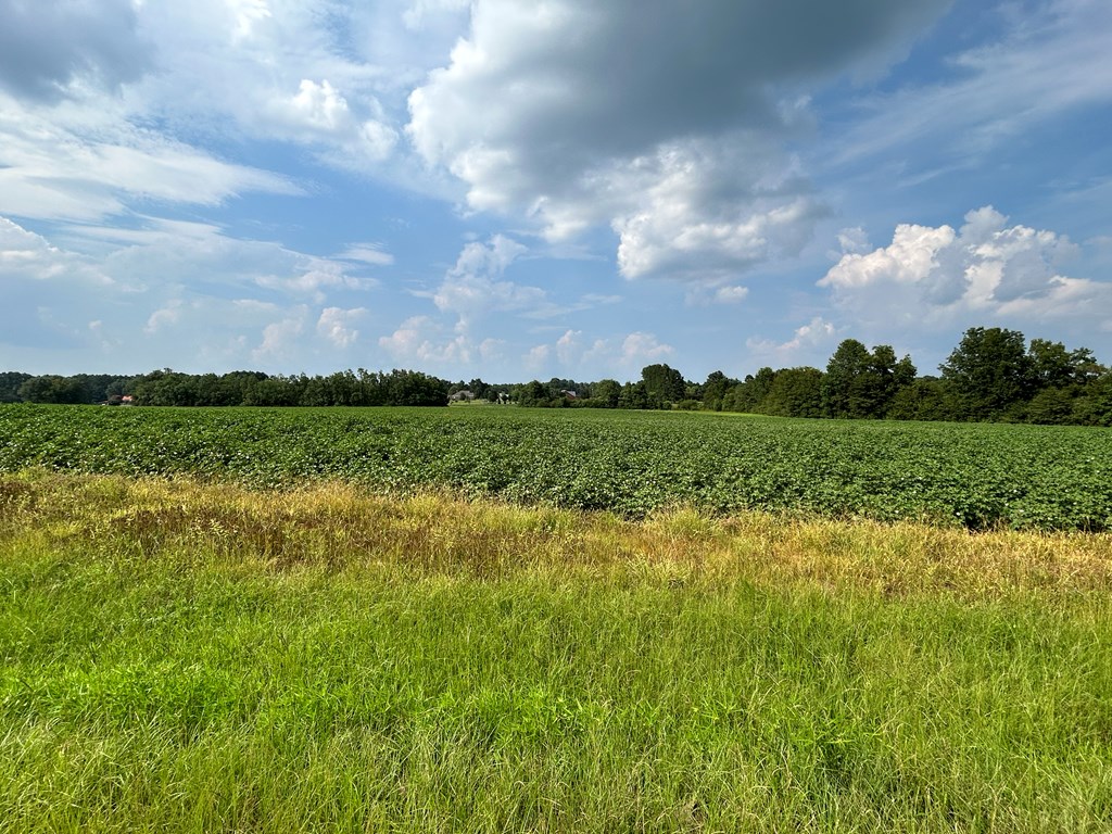 132.3-ac Green Road Dothan, AL 36303 - Photo 46 of 63