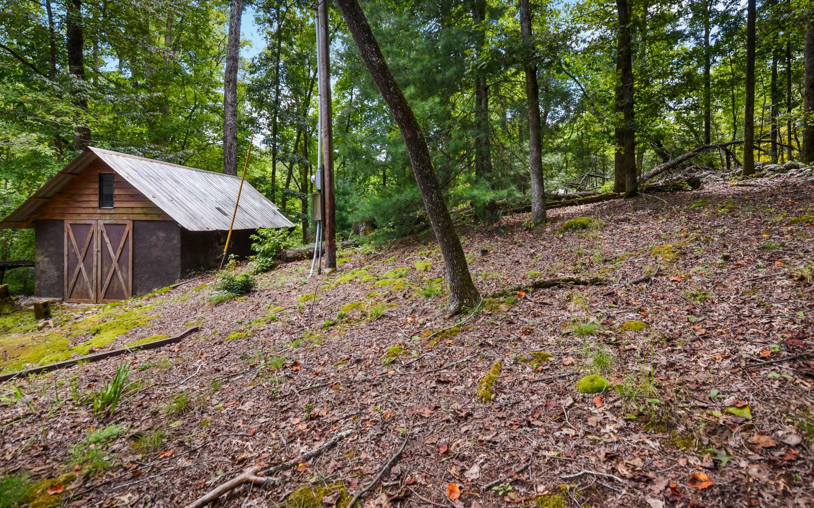 845 Garrett Branch Road Ellijay, GA 30536 - Photo 6 of 37 Additional View