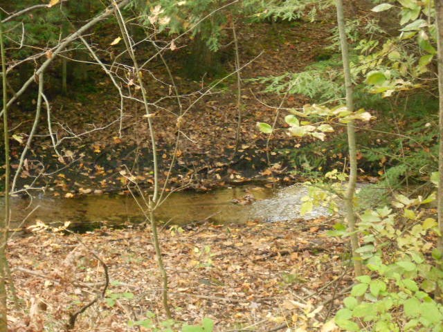 4760 Howard City Edmore Road Edmore, MI 48829 - Photo 21 of 23 1824395-20.JPG