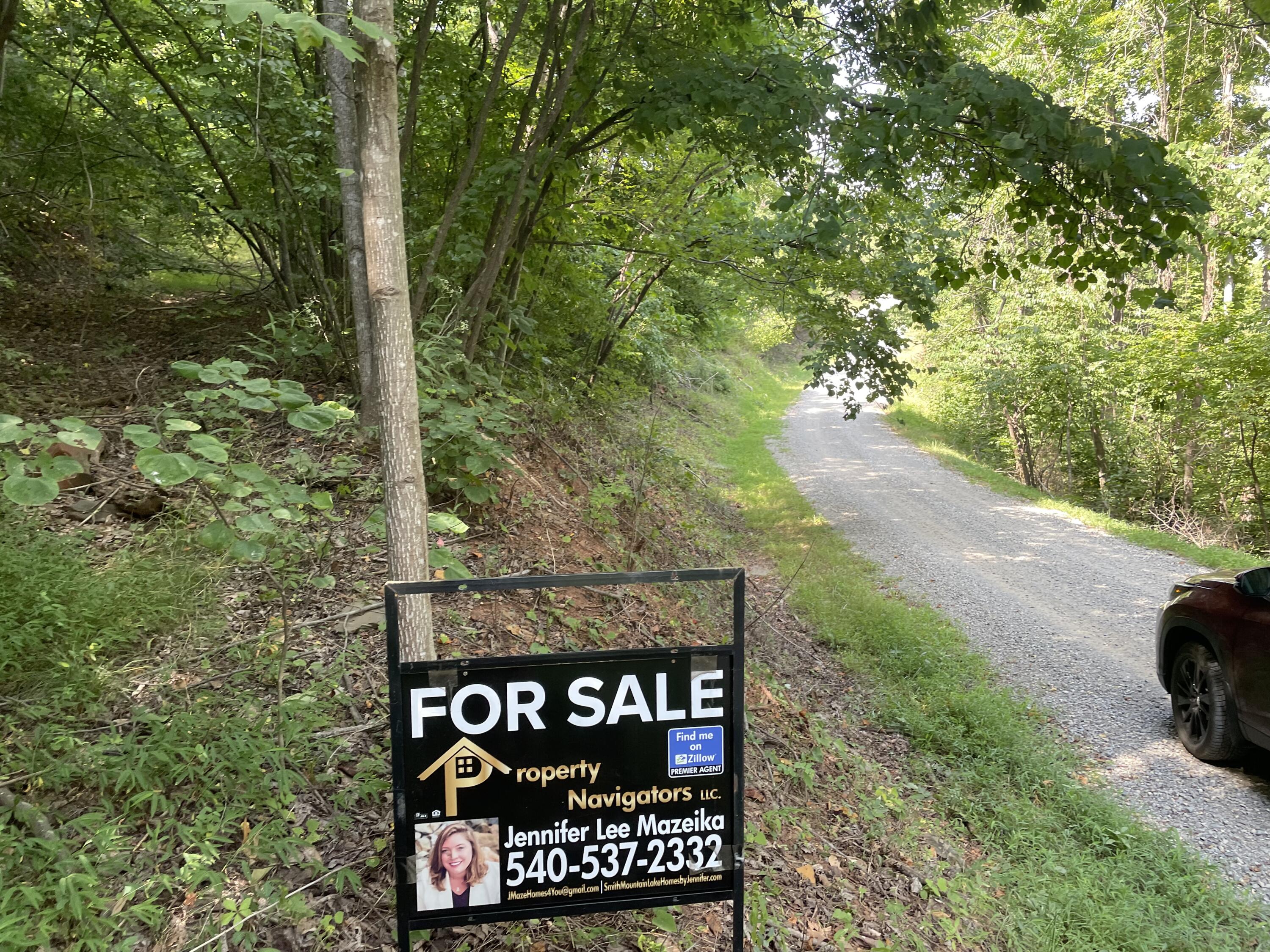 0 Brown Hill Road Ferrum, VA 24088 - Photo 6 of 8 a view of outdoor space with signage and flags