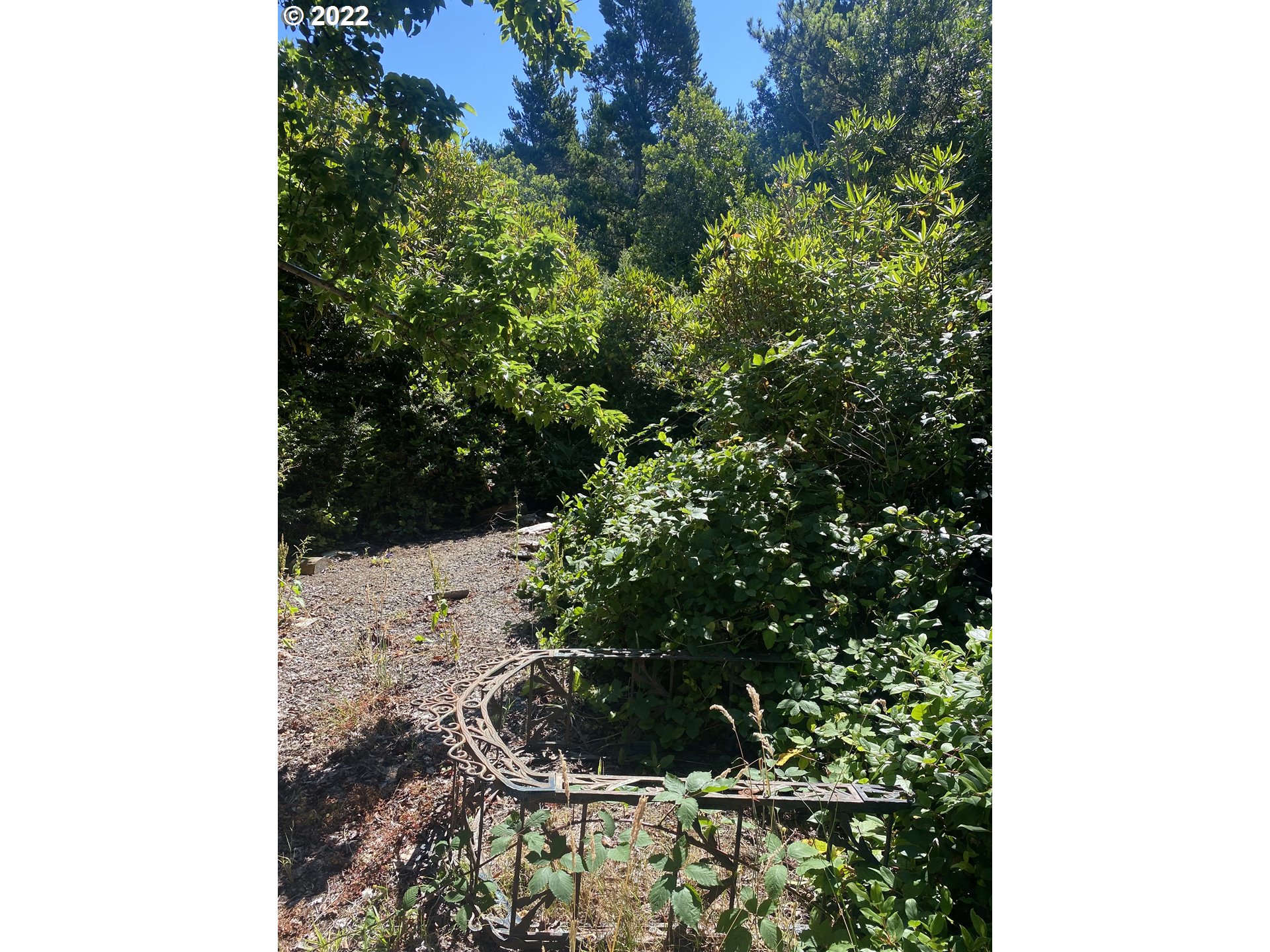 87547 Rhodowood Drive Florence, OR 97439 - Photo 1 of 3 Gallery Image 1