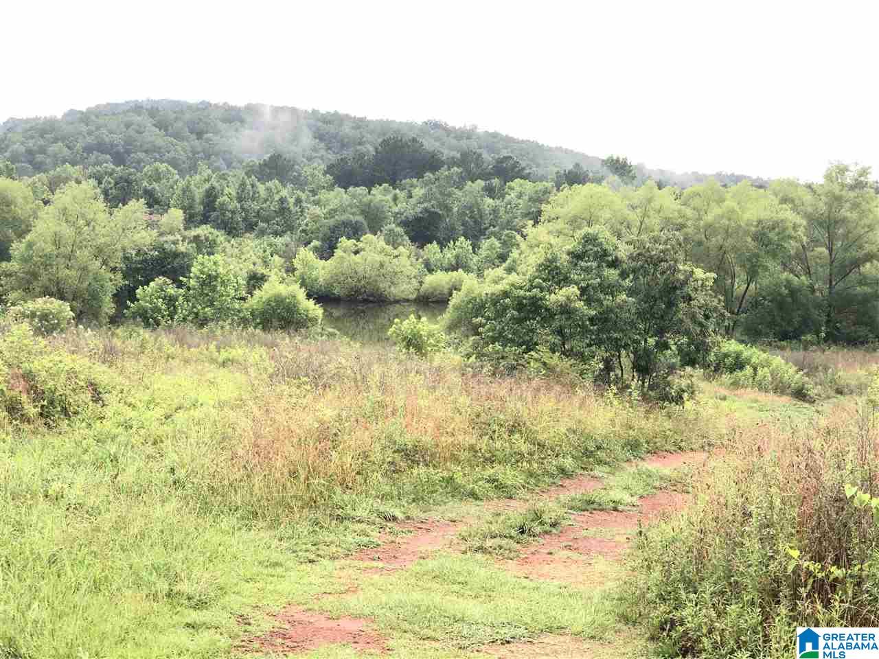 0 Old Downey Mill Road Anniston, AL 36207 - Photo 10 of 28
