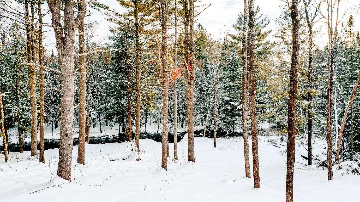659 Embden Pond Road Embden, ME 04958 - Photo 11 of 46 Magical Moments Photography-Allied Photo