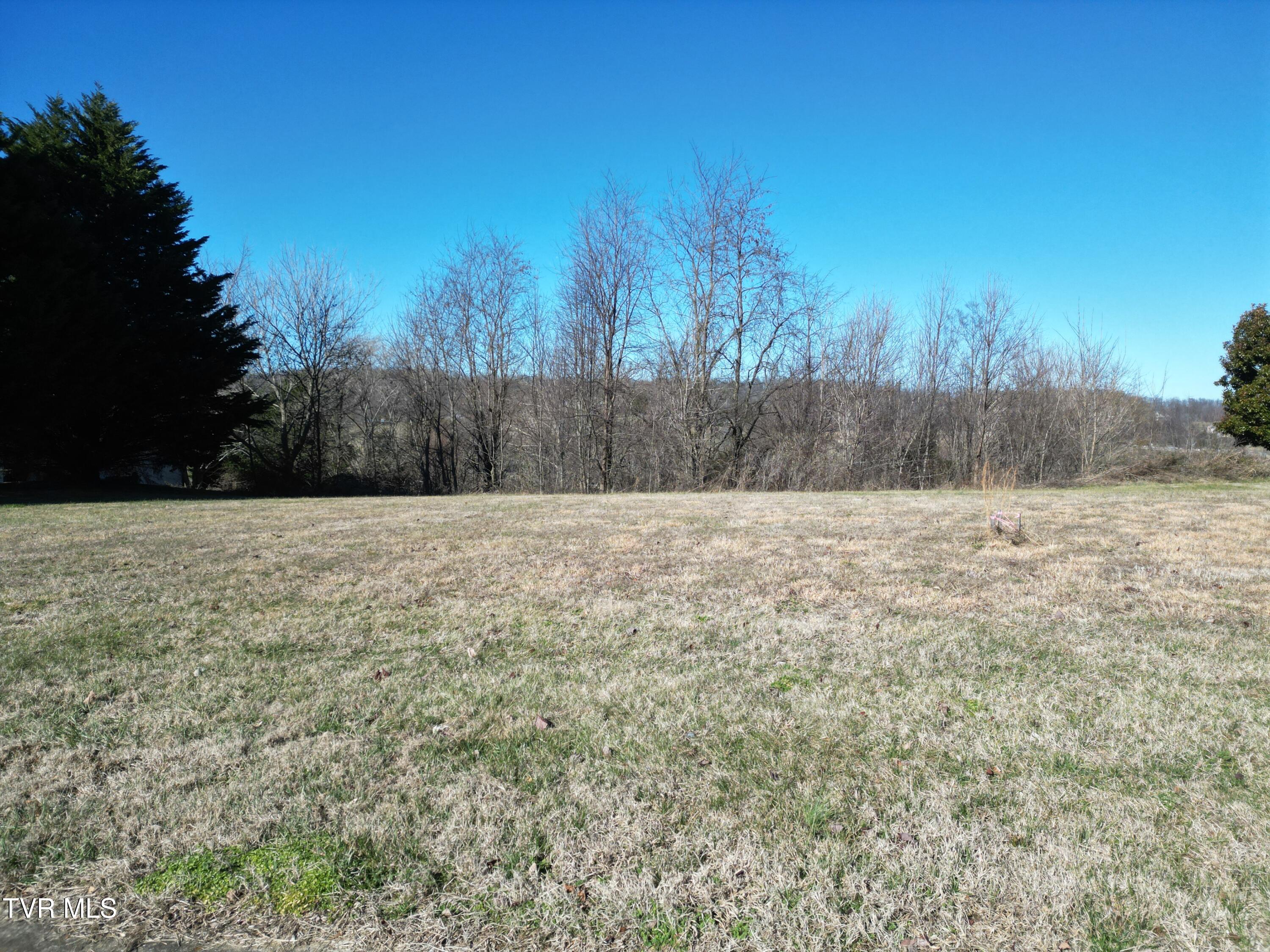 126 Chestnut Ridge Drive Jonesborough, TN 37659 - Photo 11 of 14 DJI_0689