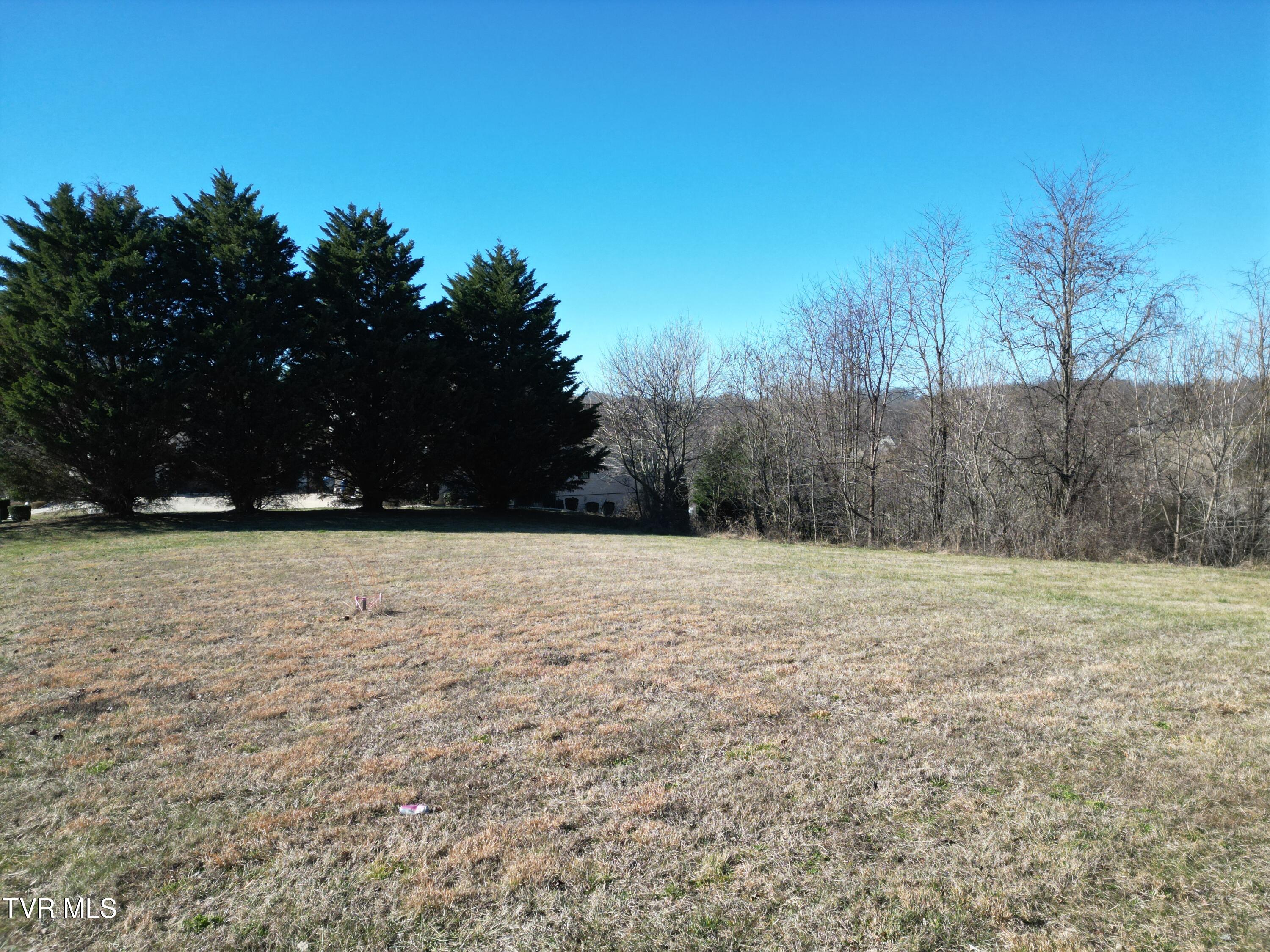 126 Chestnut Ridge Drive Jonesborough, TN 37659 - Photo 13 of 14 DJI_0691