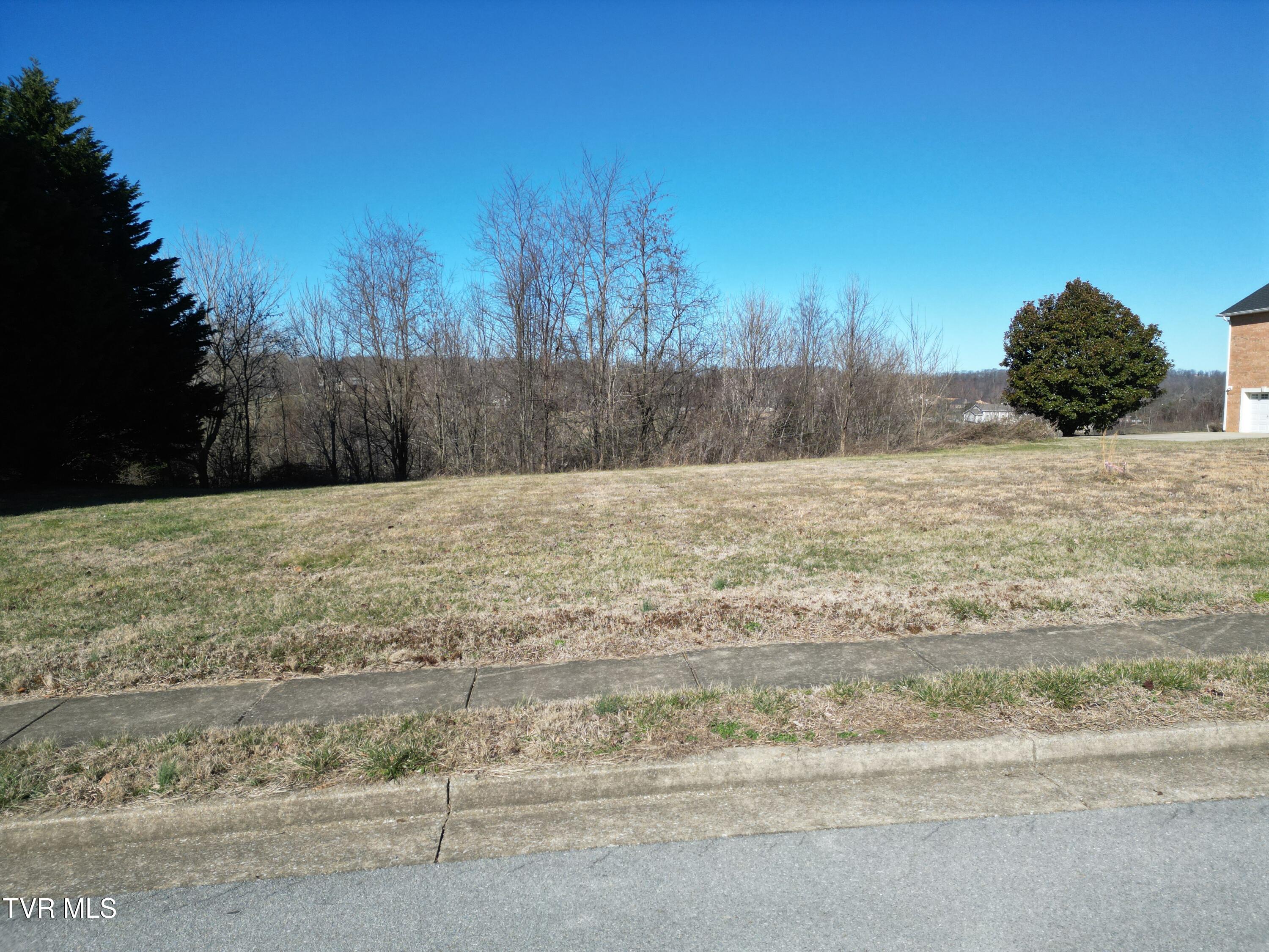 126 Chestnut Ridge Drive Jonesborough, TN 37659 - Photo 2 of 14 DJI_0679