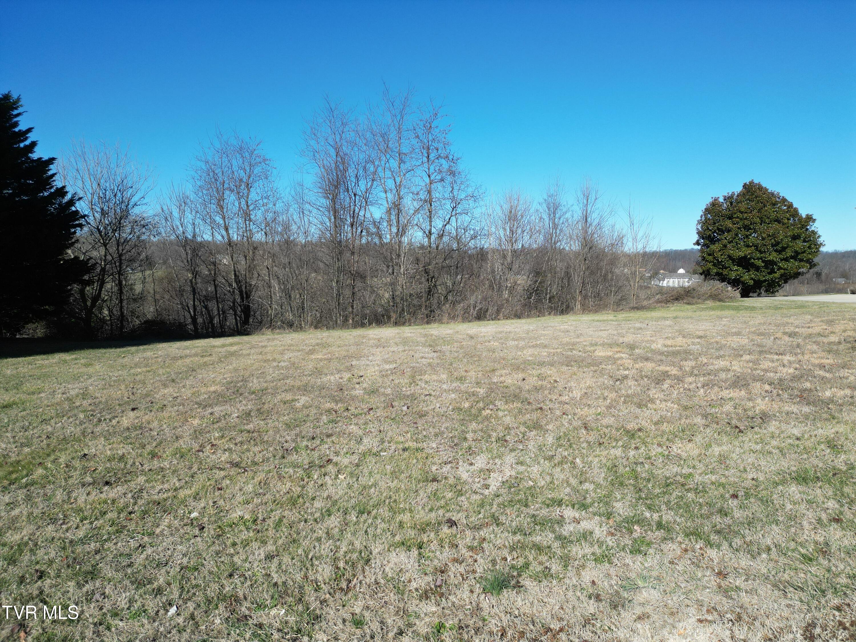 126 Chestnut Ridge Drive Jonesborough, TN 37659 - Photo 3 of 14 DJI_0680