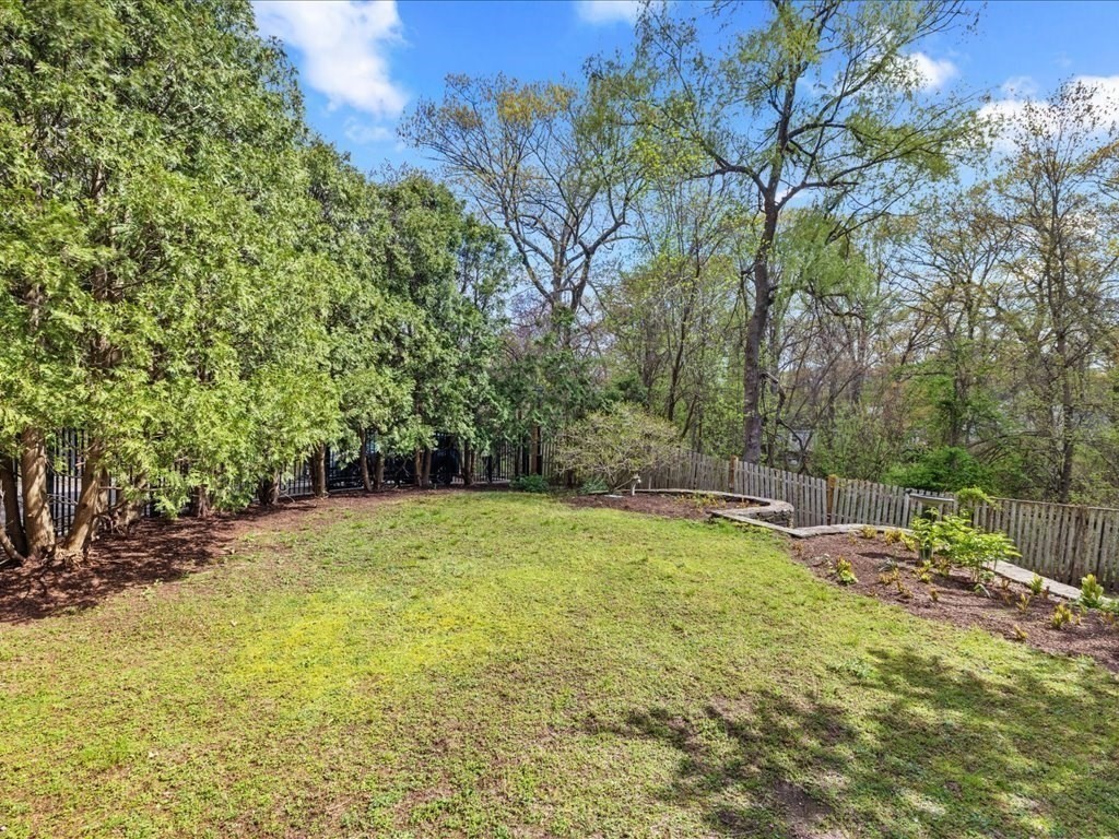 20 Laura Road Newton, MA 02468 - Photo 42 of 42 a view of a yard with a tree