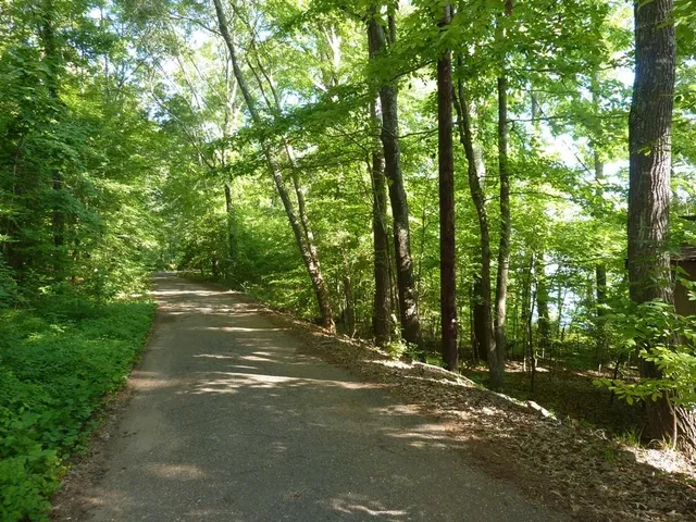 $347,000 | 79 Private Road 7332, Frankston, TX 75763