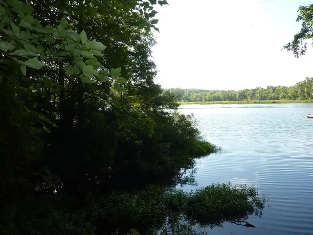 $347,000 | 79 Private Road 7332, Frankston, TX 75763