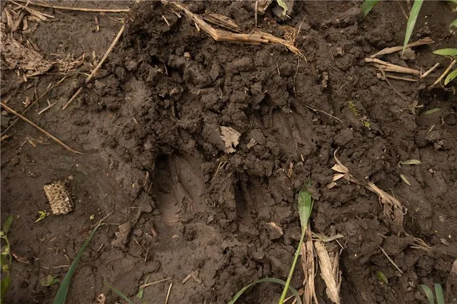 $314,700 | 270th Avenue, Watson, MO 64496