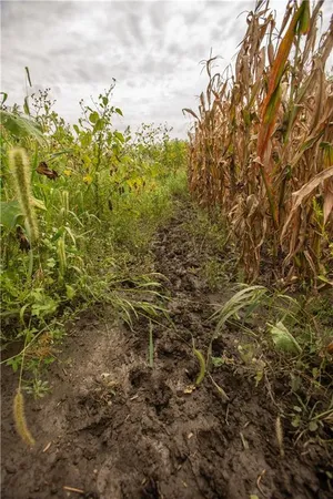 $314,700 | 270th Avenue, Watson, MO 64496