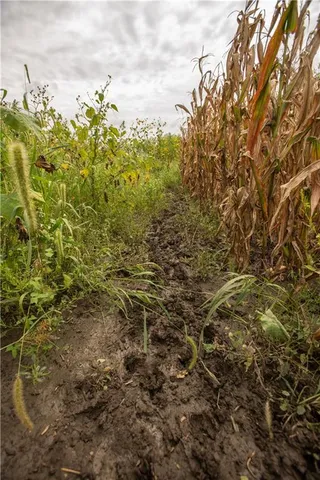 $314,700 | 270th Avenue, Watson, MO 64496