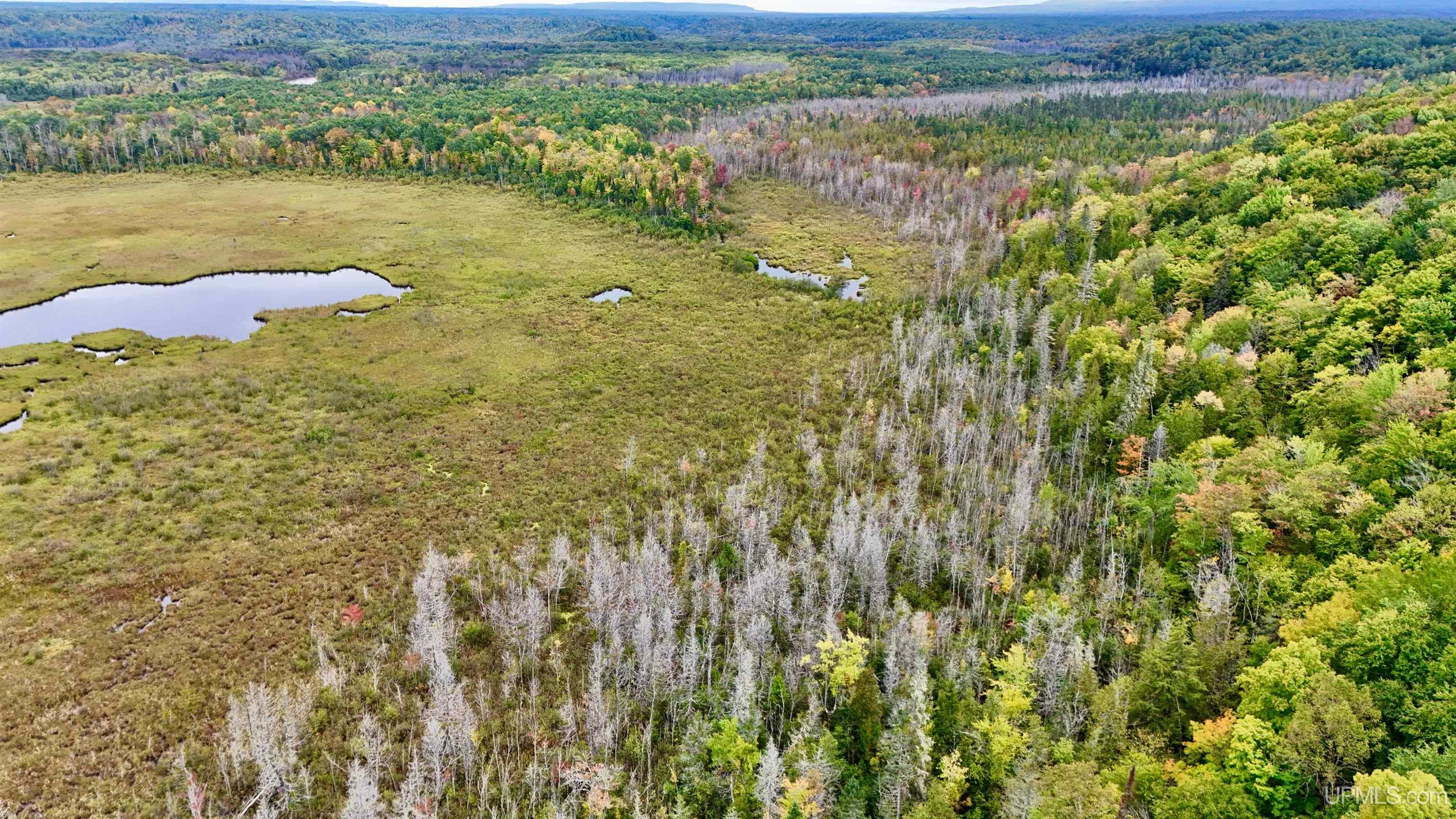 19 Norwich Road Ontonagon, MI 49953 - Photo 21 of 51