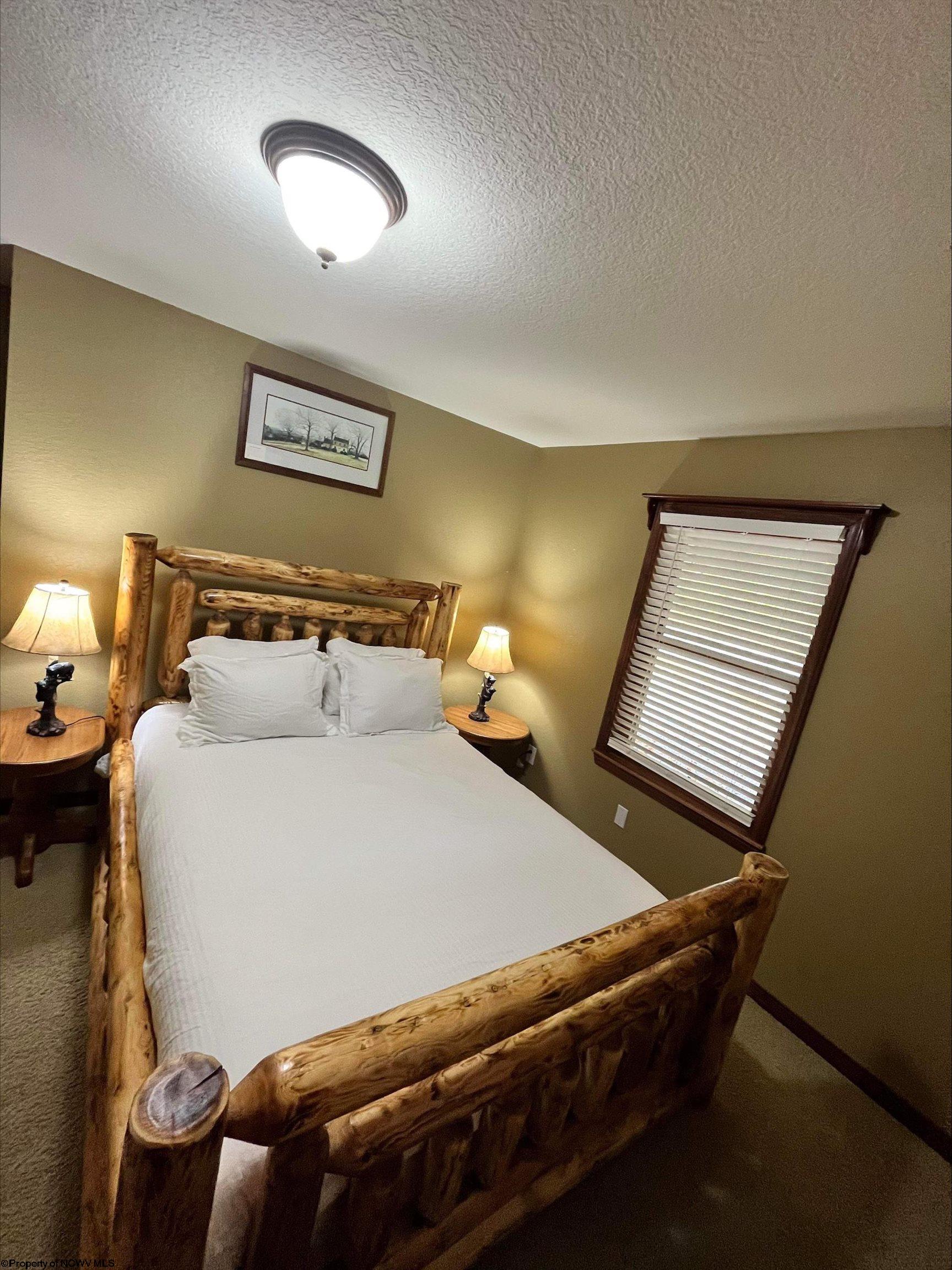65 Deer Spring Road Valley Head, WV 26294 - Photo 9 of 23 Gallery Image 9