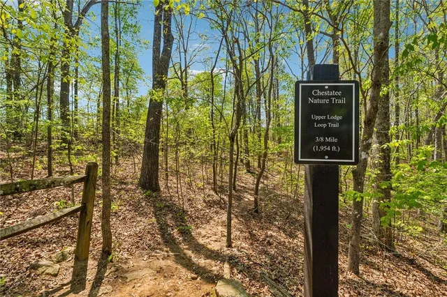 a view of a swimming pool with a yard