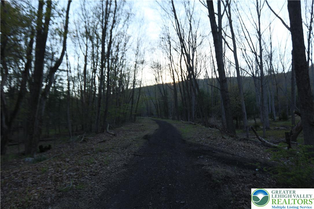 5444 Quakake Road Weatherly, PA 18255 - Photo 18 of 21 A tranquil path winds through a mature forest, offering serene, natural surroundings.