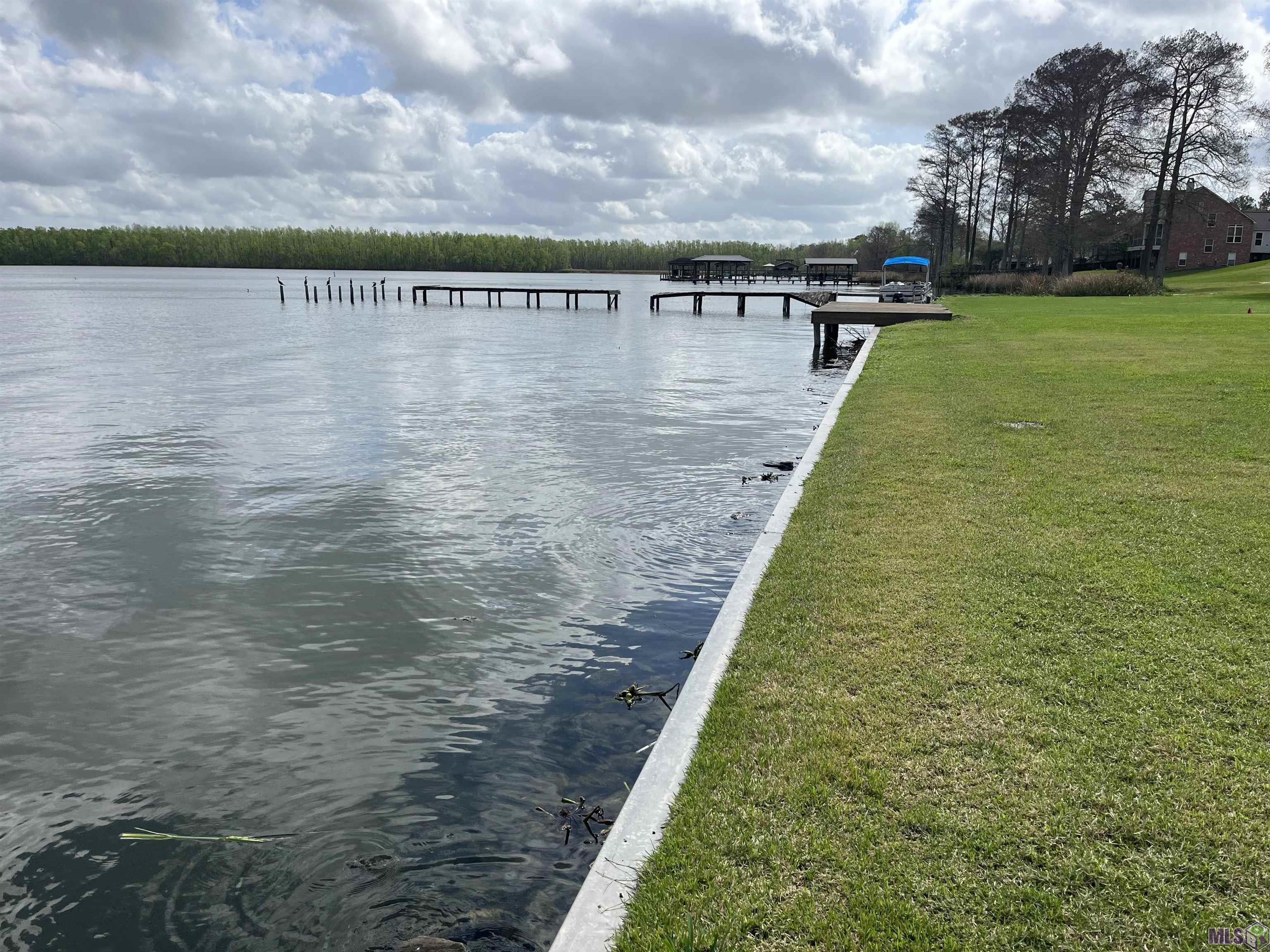 0 False River Road Jarreau, LA 70749 - Photo 4 of 9 Bulkhead