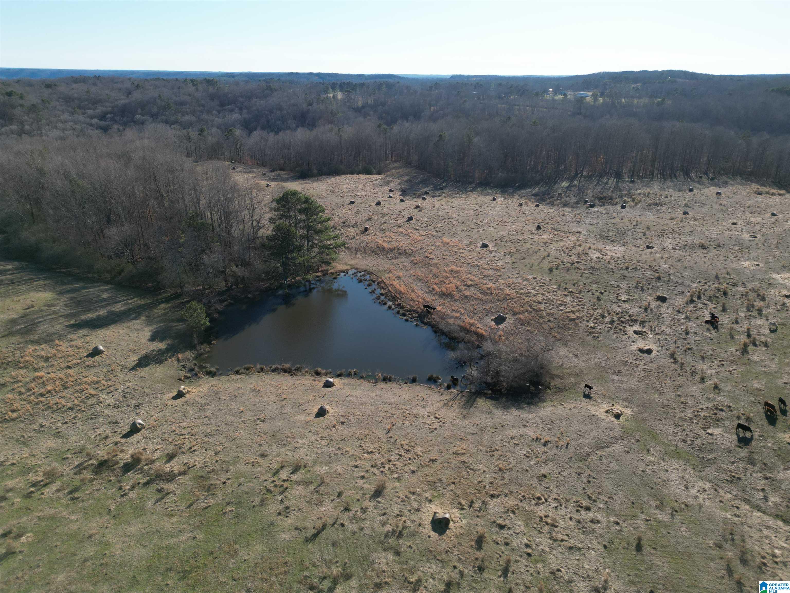 682 County Road 832 Logan, AL 35098 - Photo 24 of 48