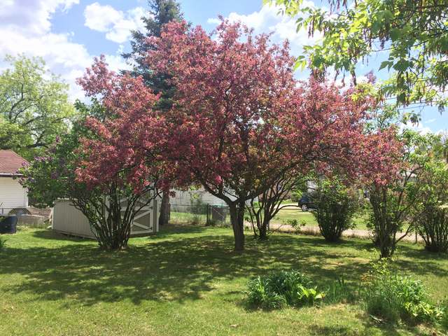 15 West Rice Avenue Tomahawk, WI 54487 - Photo 7 of 19 Gallery Image 7