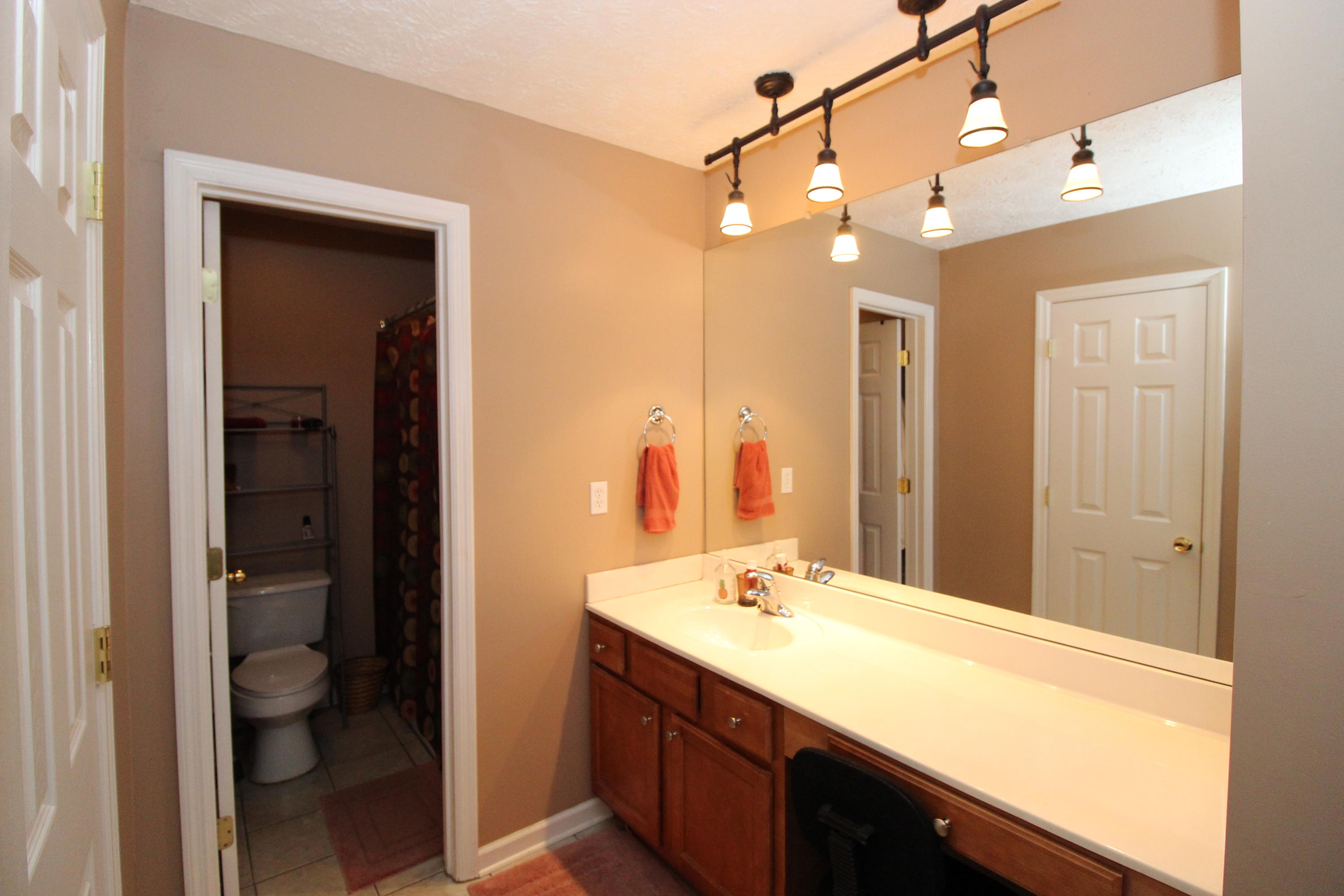 3709 Big Springs Ridge Road Friendsville, TN 37737 - Photo 14 of 30 Master bath area