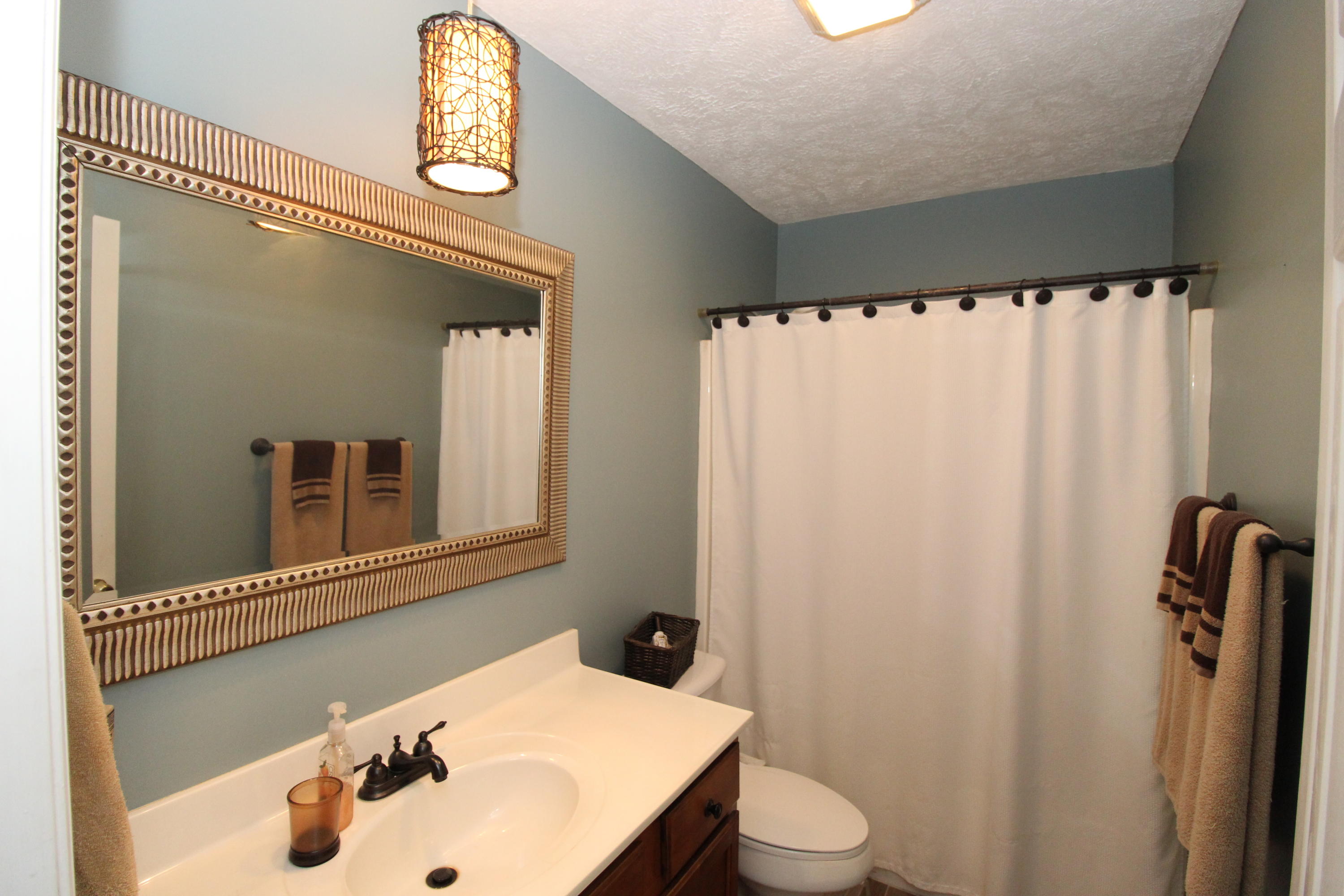 3709 Big Springs Ridge Road Friendsville, TN 37737 - Photo 19 of 30 Guest bath