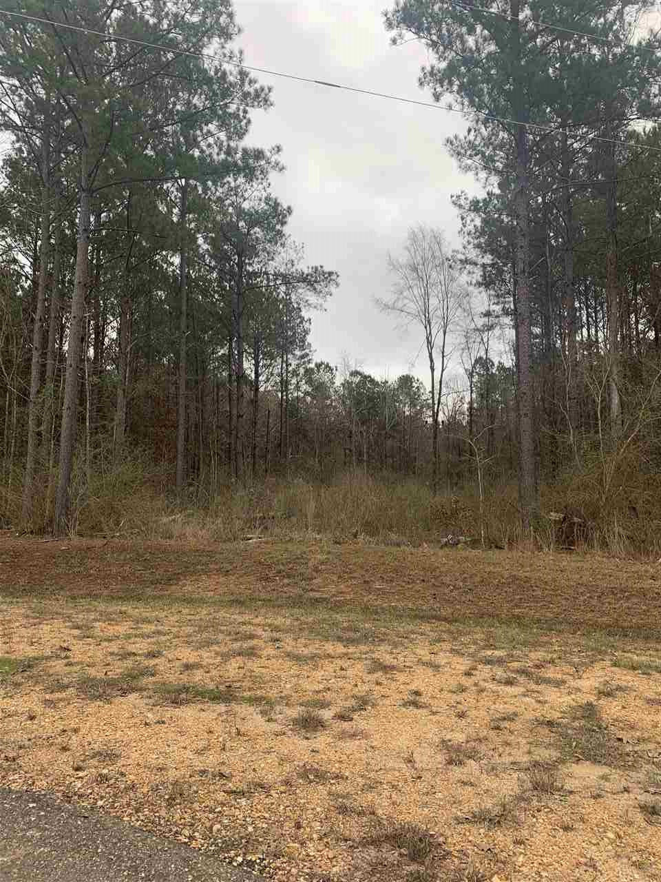 0 Saddle Ridge Florence, MS 39073 - Photo 3 of 3 Photo 3