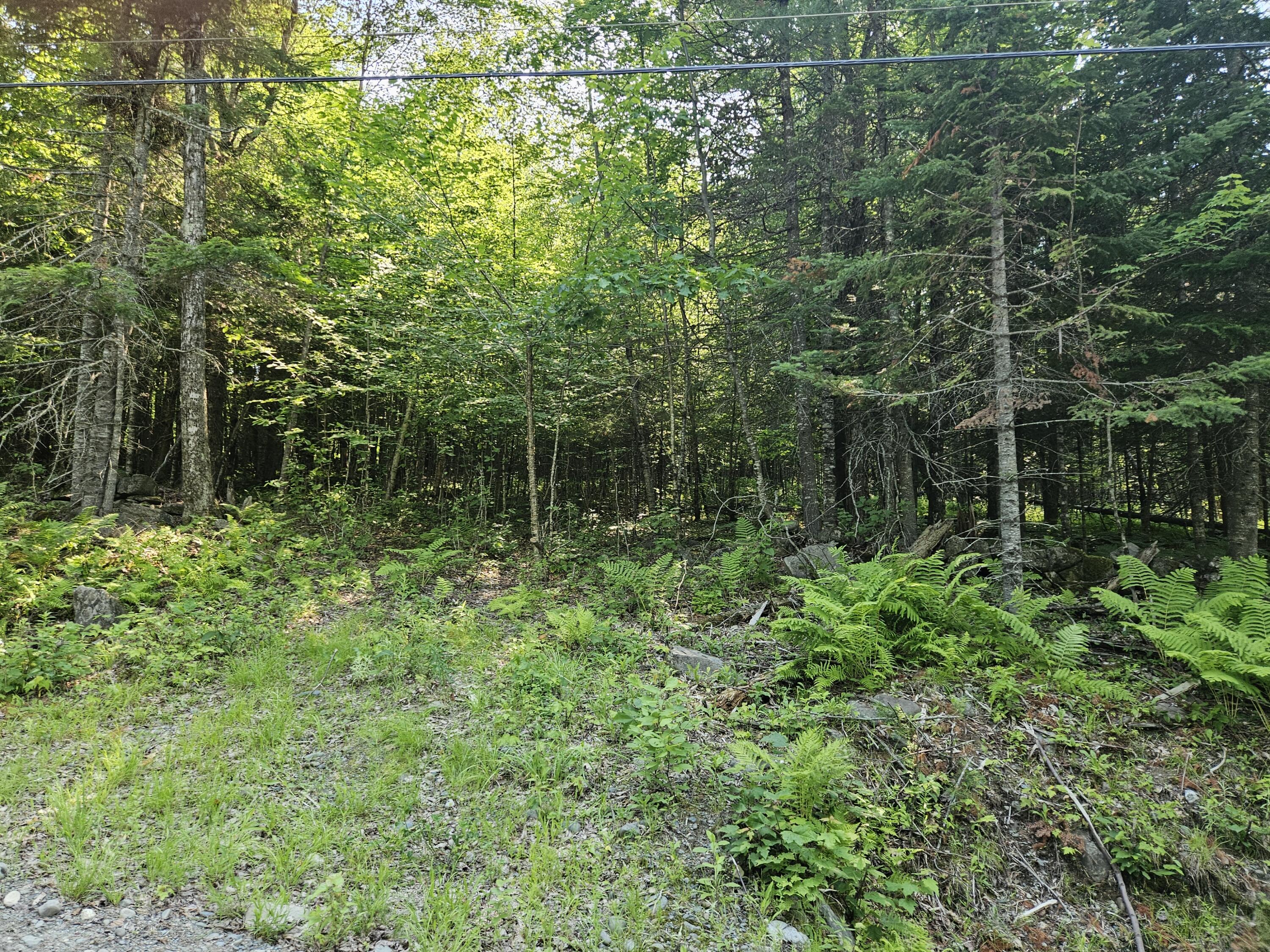 Lot 2 Rips Road Brownville, ME 04414 - Photo 2 of 3 1000016327