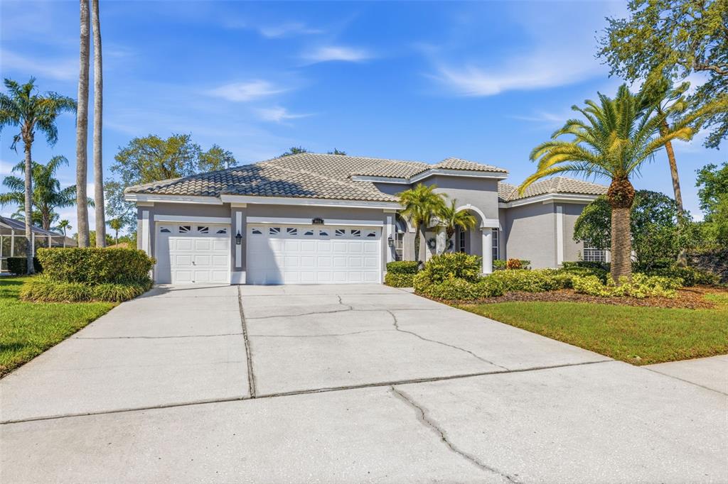 9651 Venturi Drive Trinity, FL 34655 - Photo 2 of 52