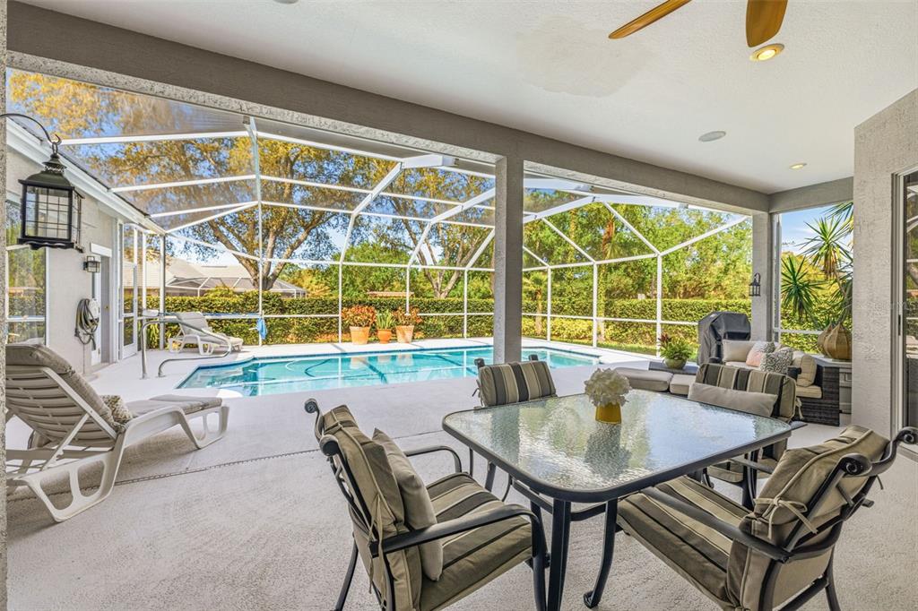 9651 Venturi Drive Trinity, FL 34655 - Photo 39 of 52