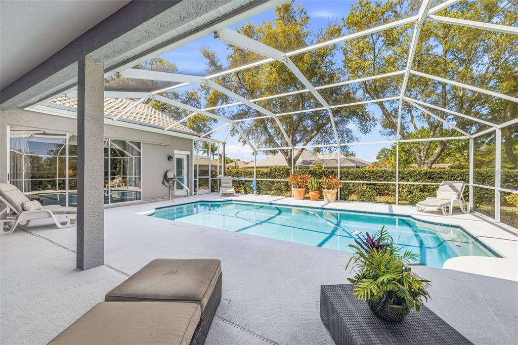 9651 Venturi Drive Trinity, FL 34655 - Photo 40 of 52