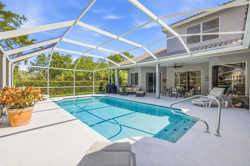 9651 Venturi Drive Trinity, FL 34655 - Photo 41 of 52