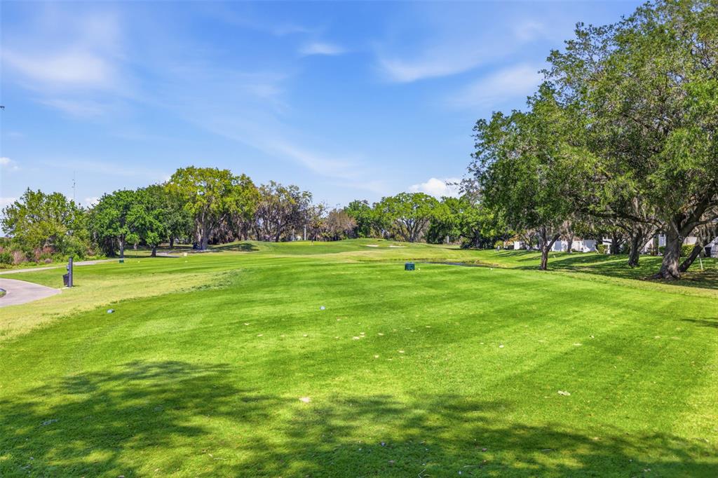 9651 Venturi Drive Trinity, FL 34655 - Photo 45 of 52
