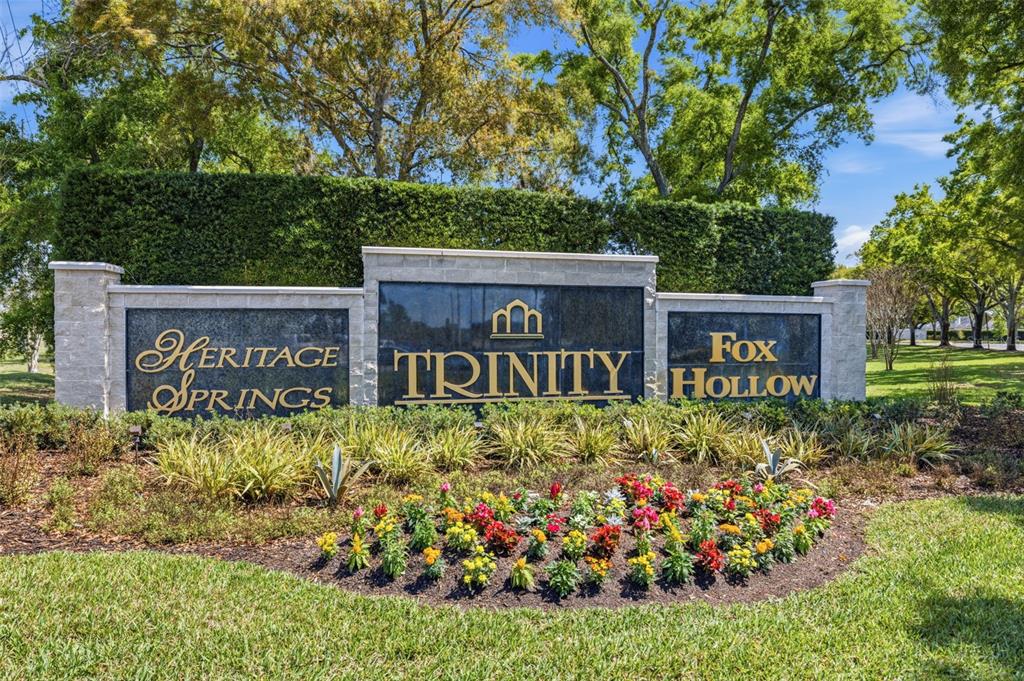 9651 Venturi Drive Trinity, FL 34655 - Photo 52 of 52