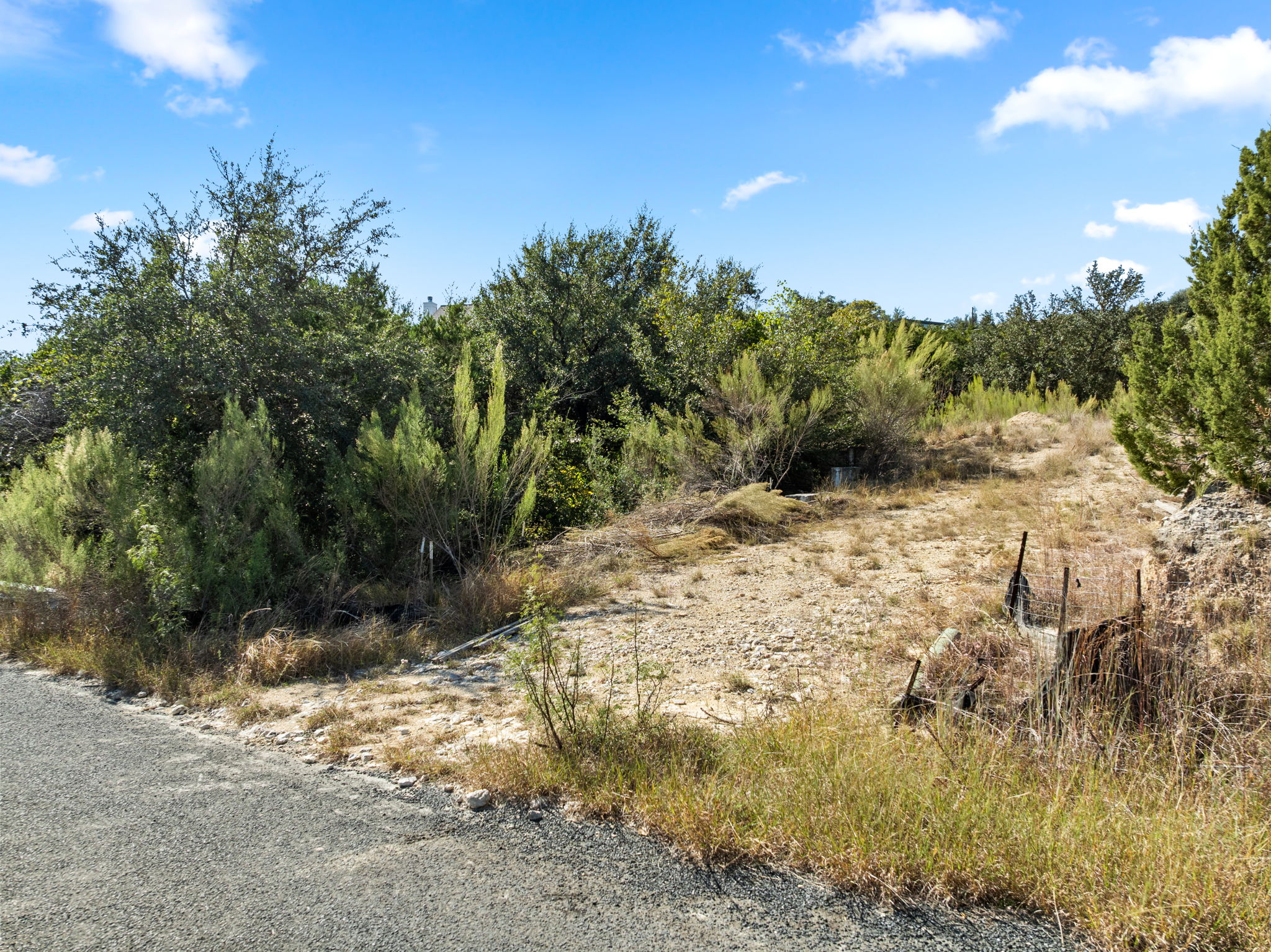 13701 Hunters Pass Austin, TX 78734 - Photo 12 of 33 a view of a yard with a tree