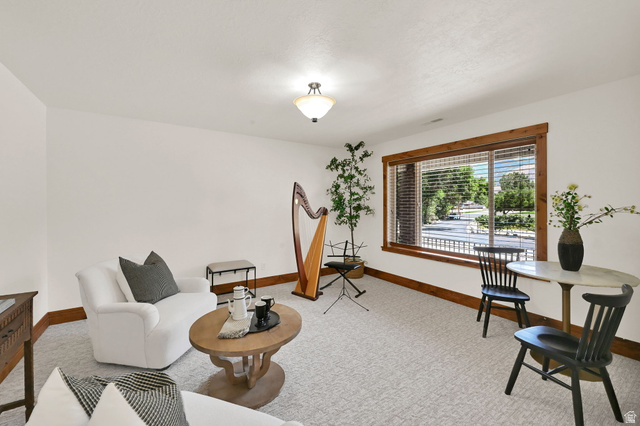 13658 South Fort Street Draper, UT 84020 - Photo 10 of 87 Spacious room featuring light-colored carpeting, white wall finishes, and a large window with wood trim