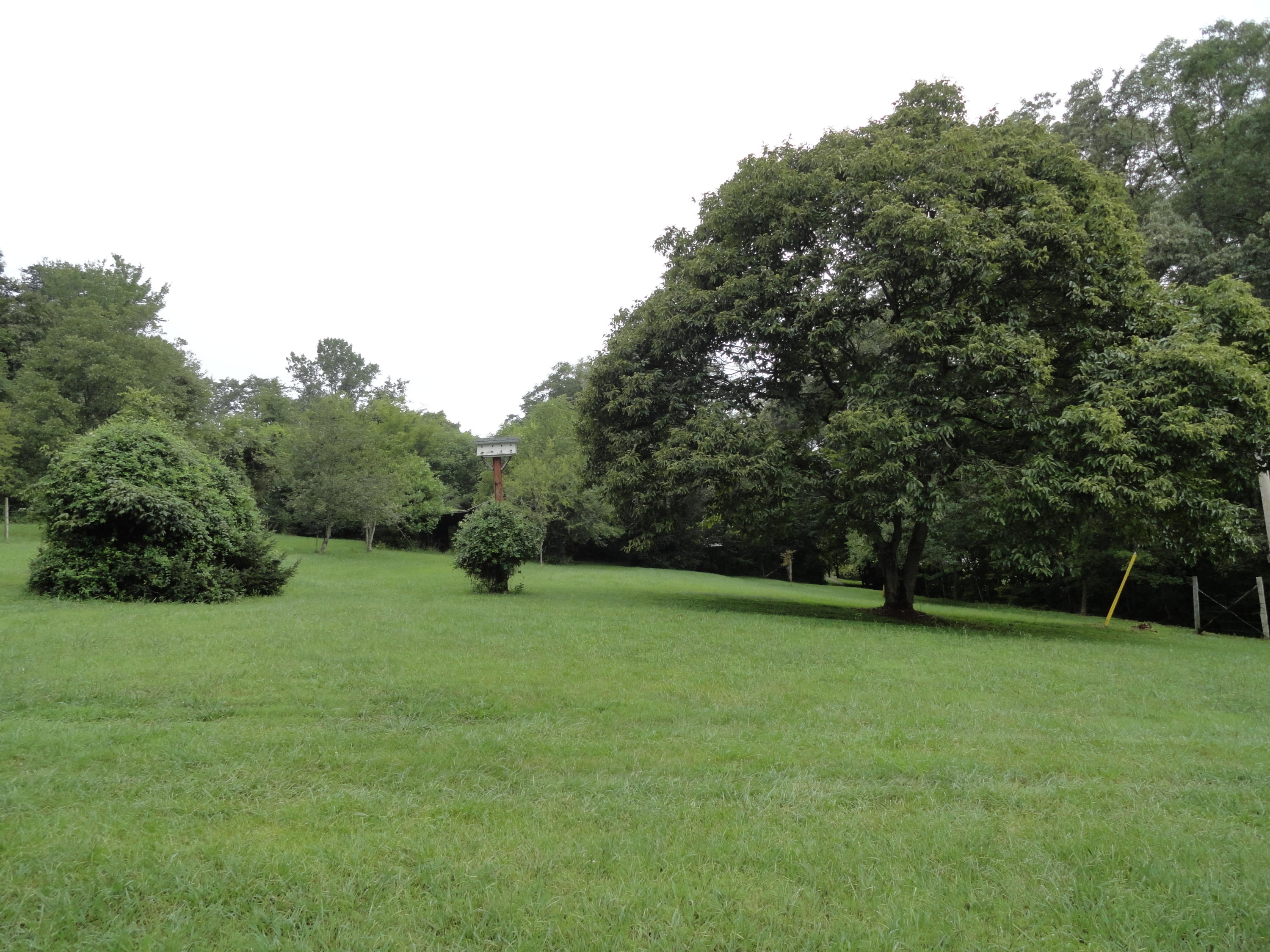 511 Black Oak Road Clinton, TN 37716 - Photo 32 of 38 DSC07344