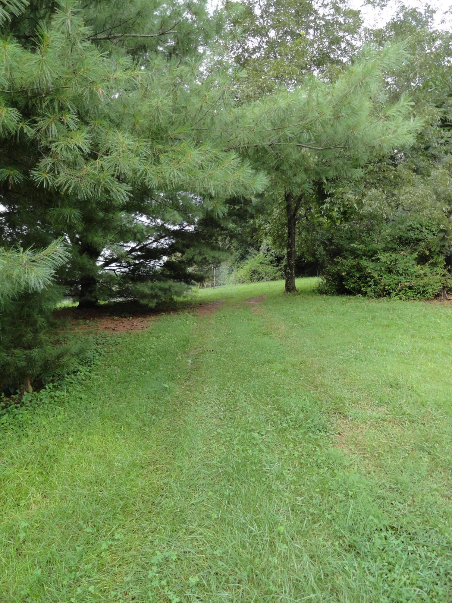 511 Black Oak Road Clinton, TN 37716 - Photo 35 of 38 DSC07347