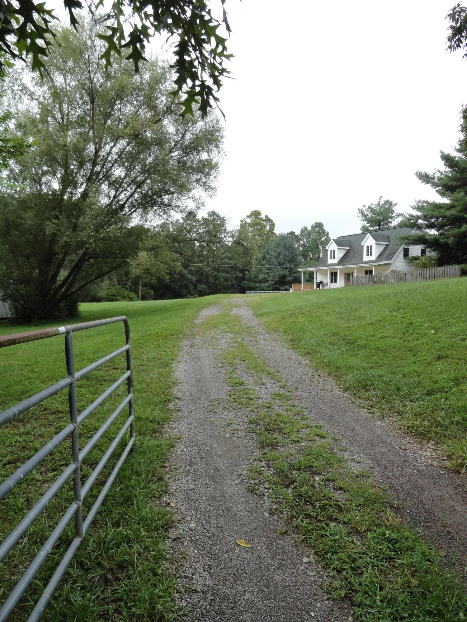 511 Black Oak Road Clinton, TN 37716 - Photo 38 of 38 DSC07350