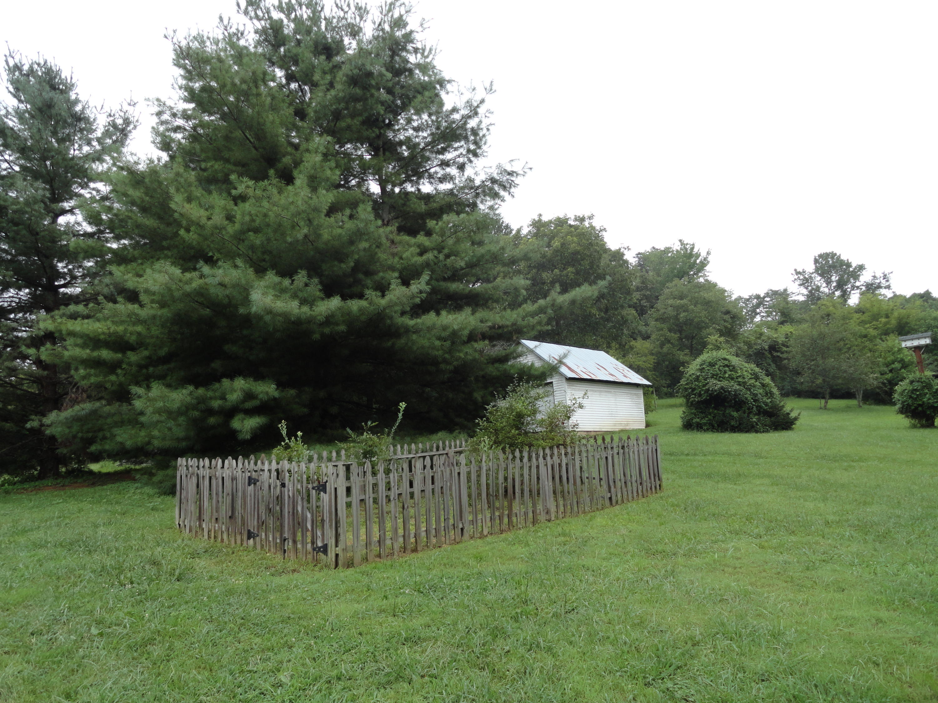 511 Black Oak Road Clinton, TN 37716 - Photo 6 of 38 DSC07309