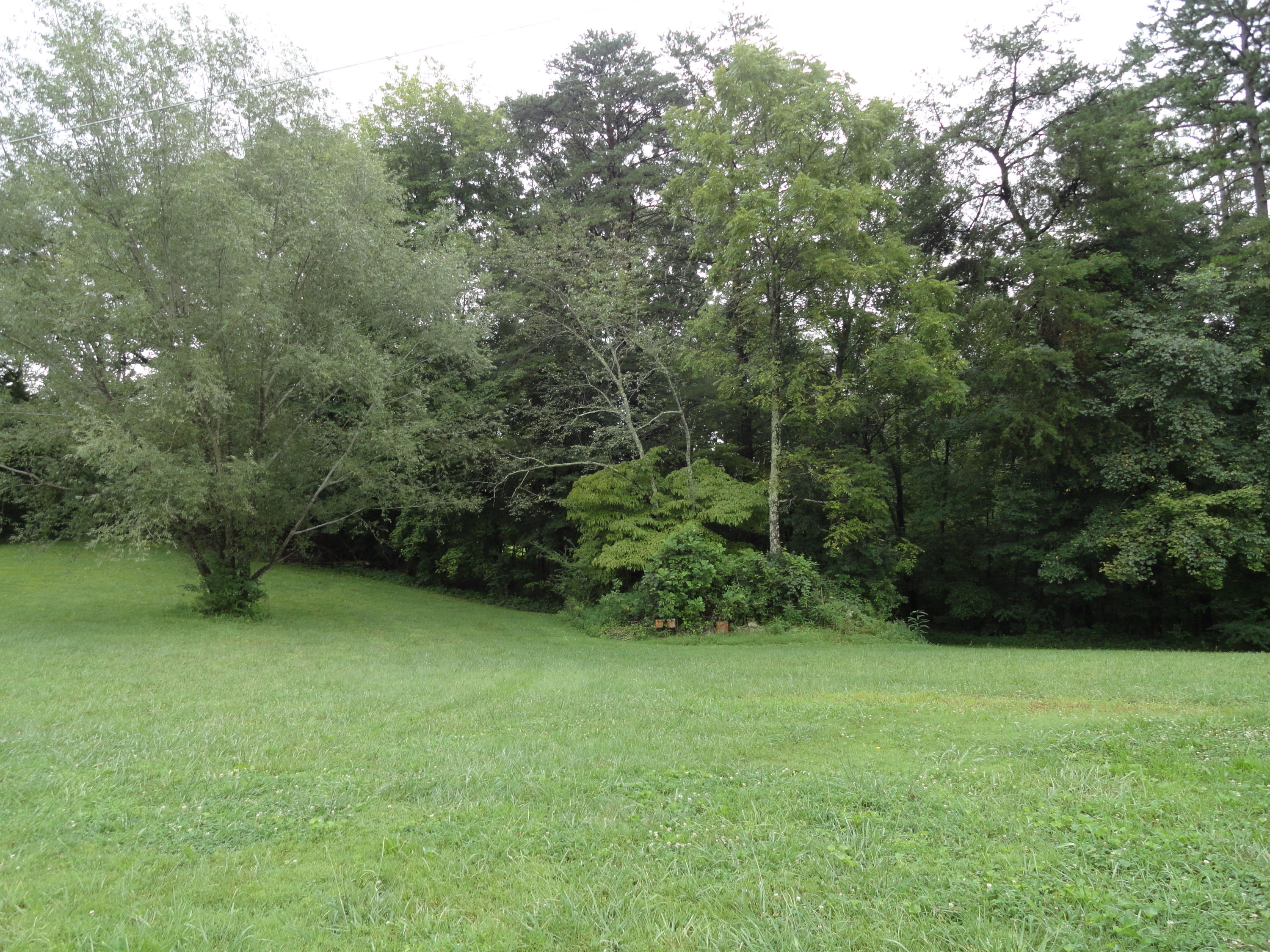 511 Black Oak Road Clinton, TN 37716 - Photo 8 of 38 DSC07313