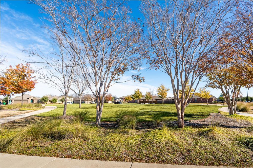 2101 Brisbon Street Fate, TX 75189 - Photo 39 of 39 a view of a yard with an trees