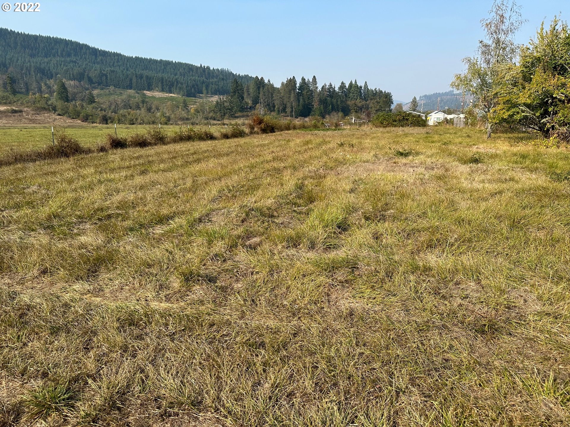 3132 Eagle Valley Road Yoncalla, OR 97499 - Photo 8 of 32 a view of an outdoor space and a yard