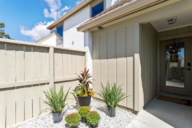 a potted plant sitting in front of a door