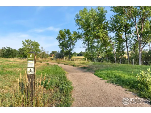 a view of a yard with swimming pool and trees