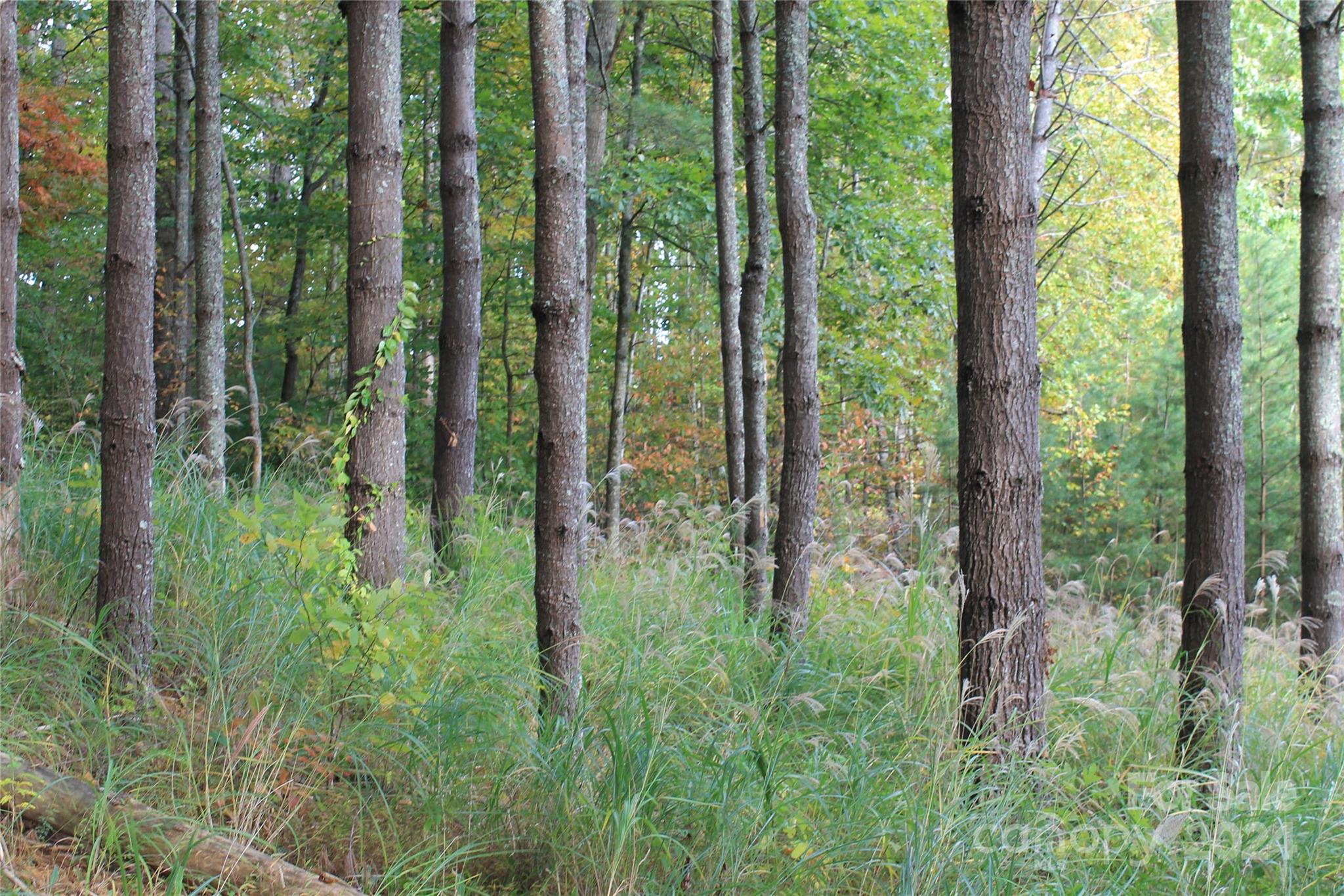 935 Calvin Edney Road Mars Hill, NC 28754 - Photo 13 of 32 Gallery Image 13